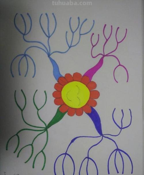 思维导图怎么填颜色 总分总思维导图怎么用电脑画？