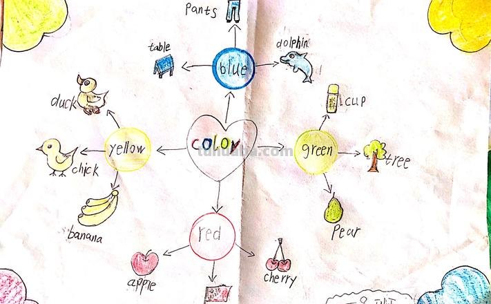 思维导图怎么填颜色 总分总思维导图怎么用电脑画?