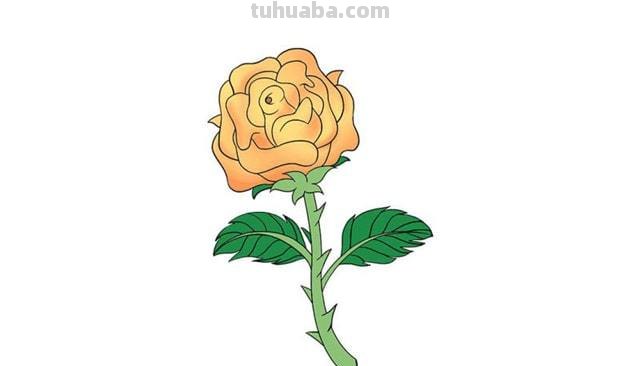 黄玫瑰简笔画 黄玫瑰简笔画图片