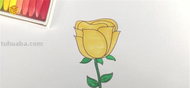 黄玫瑰简笔画 黄玫瑰简笔画图片