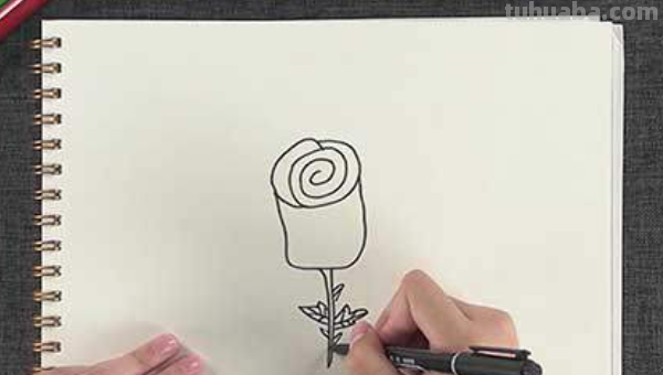 玫瑰花简笔画怎么画 玫瑰花简笔画怎么画