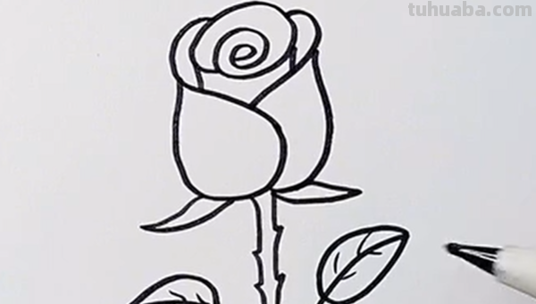 玫瑰的简笔画怎么画 玫瑰的简笔画怎么画