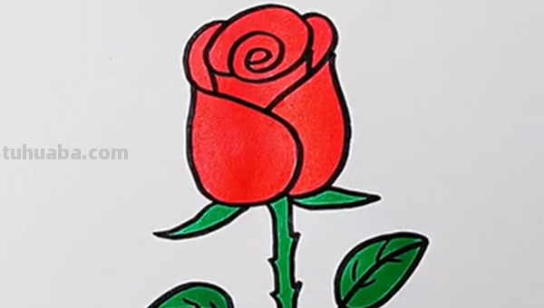 玫瑰的简笔画怎么画 玫瑰的简笔画怎么画