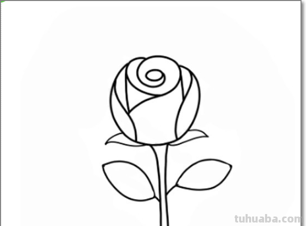 玫瑰花简笔画 玫瑰花简笔画