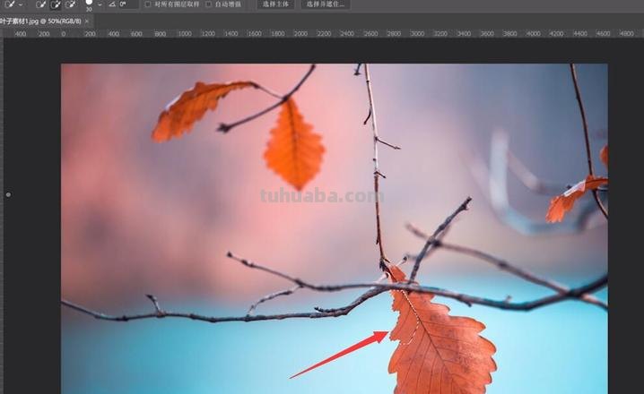 如何使用PS增强局部色彩 