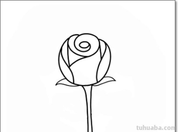 玫瑰花简笔画 玫瑰花简笔画