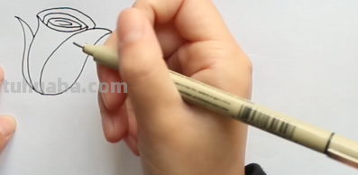 玫瑰花的简笔画怎么画最好看又简单 玫瑰花的简笔画怎么画最好看又简单