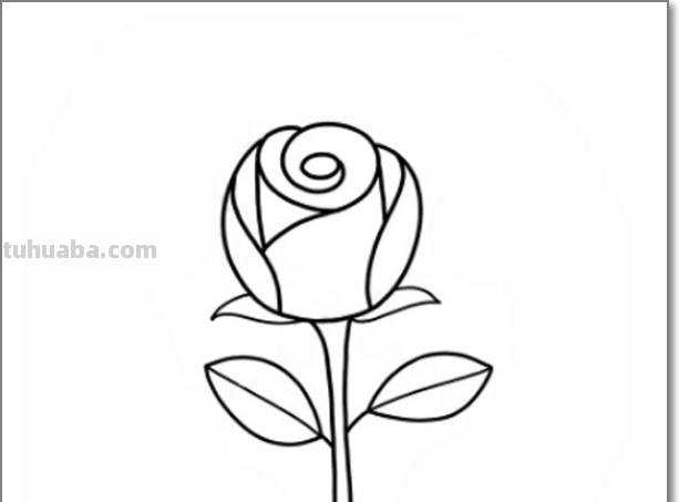 玫瑰花简笔画 玫瑰花简笔画