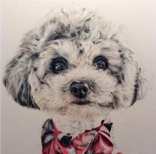 狗全身怎么画彩铅 一步一步教彩铅画？