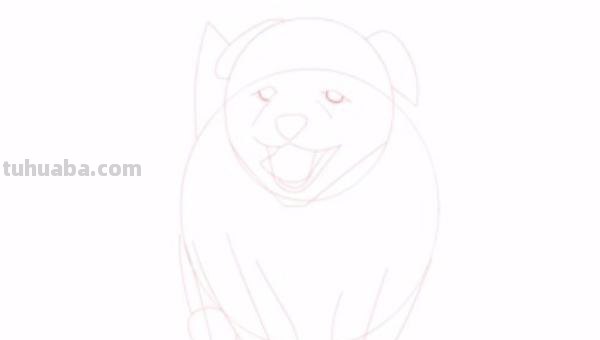 狗全身怎么画彩铅 一步一步教彩铅画？