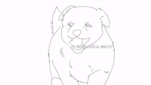 狗全身怎么画彩铅 一步一步教彩铅画？