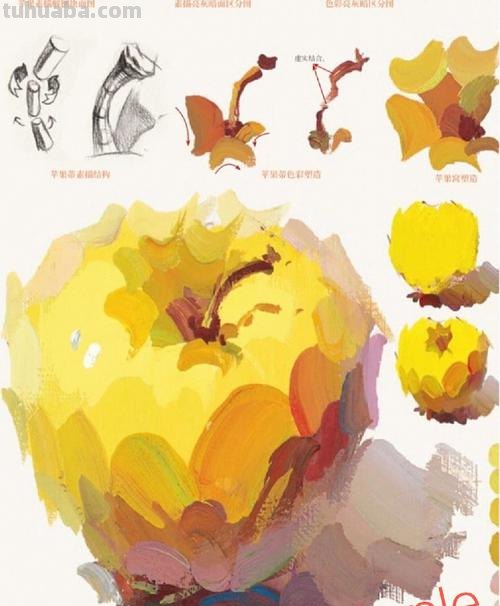 用色彩绘制单个苹果的步骤和技巧 