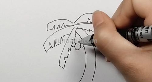 椰子树怎么画 椰子树怎么画简单又好看