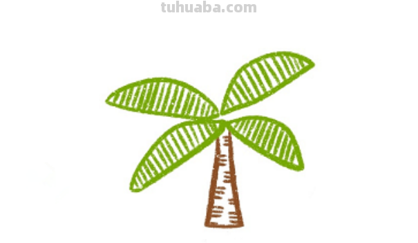椰子树咋画