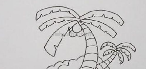 椰子树怎么画 简单