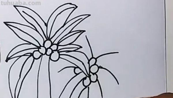 椰子树怎么画图片