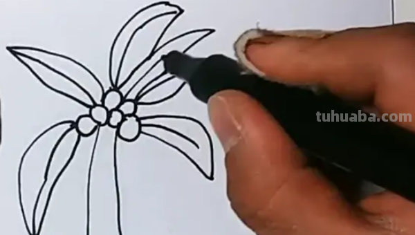 椰子树怎么画图片