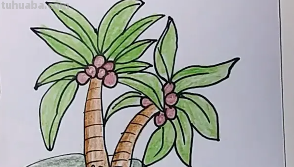 椰子树怎么画图片