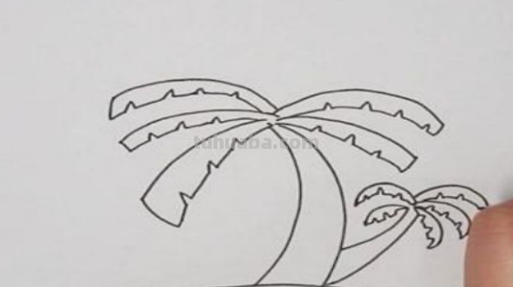 椰子树怎么画好看