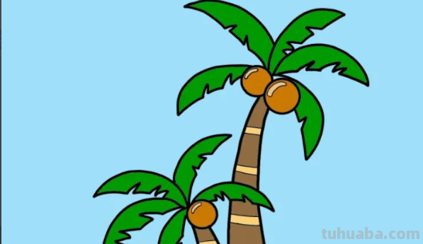 椰子树怎么画简单又漂亮图片