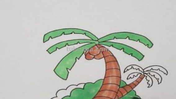 椰子树怎么画好看