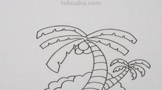 椰子树怎么画好看