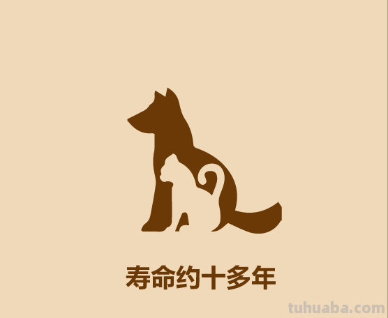 半分钟认识宠物狗