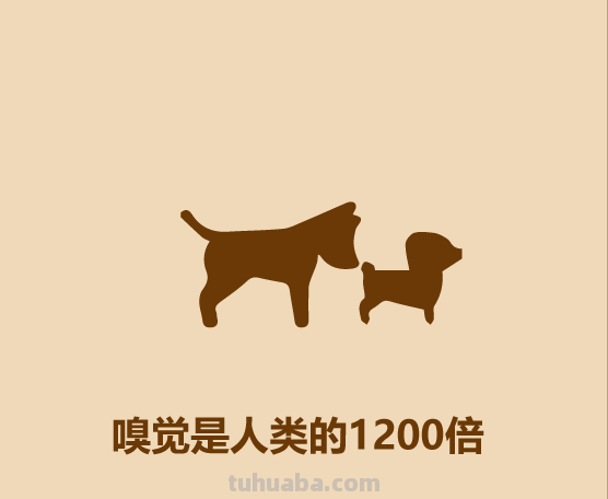半分钟认识宠物狗
