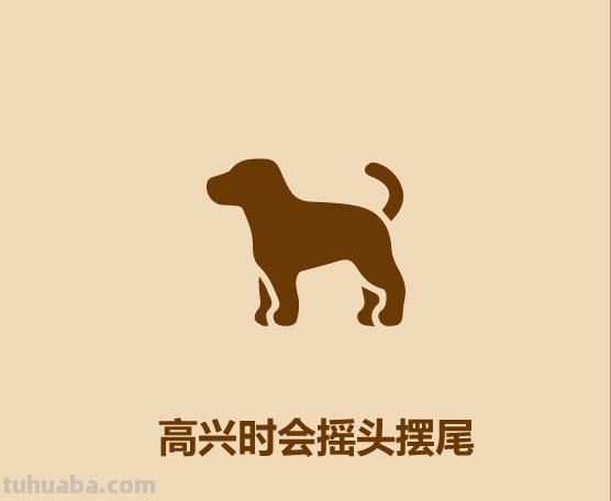 半分钟认识宠物狗