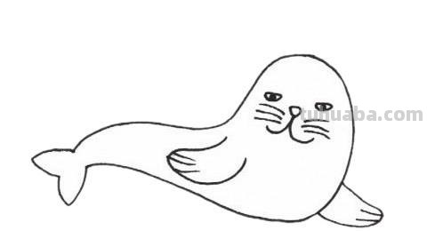 海狮简笔画 海狮简笔画图片大全