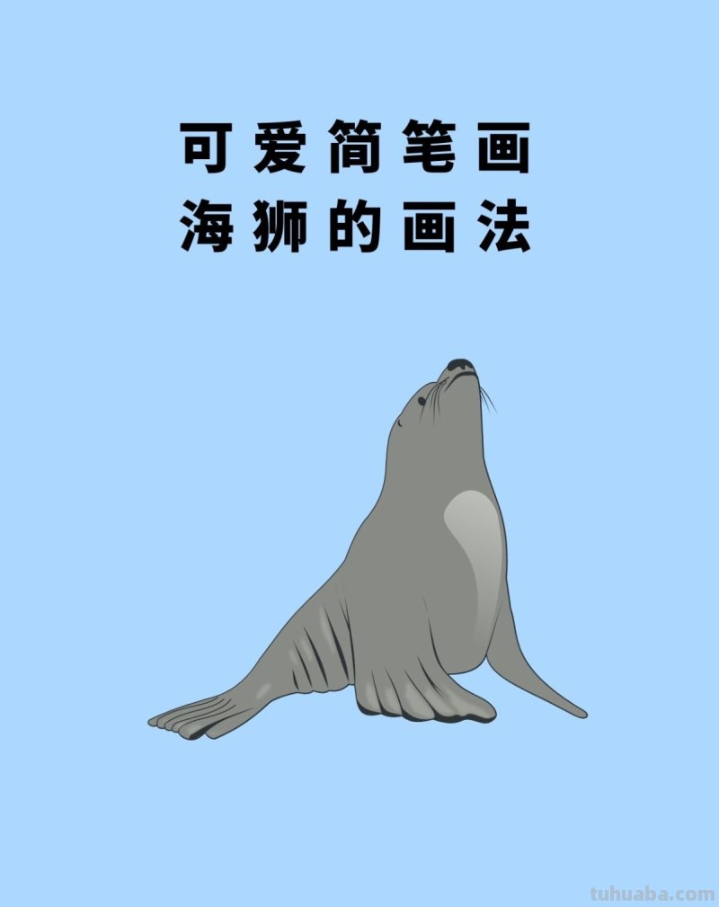 简单漂亮美术可爱简笔画海狮