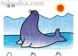 海狮涂什么颜色简笔画