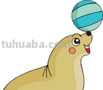 海狮涂什么颜色简笔画