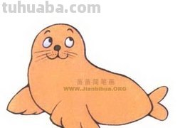 海狮涂什么颜色简笔画