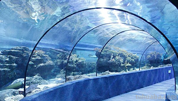 海底世界怎么画才好看