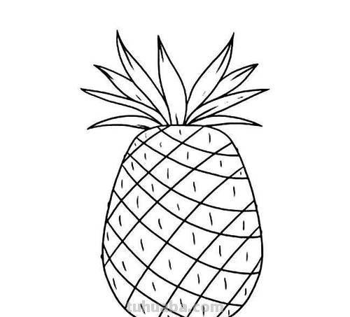 菠萝简笔画 菠萝简笔画图片