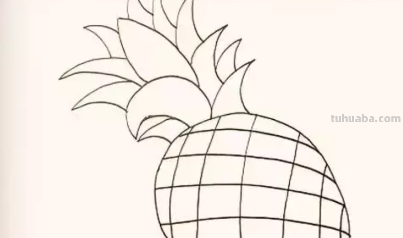 菠萝怎么画简笔画