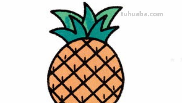 菠萝怎么画简单又好看