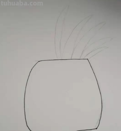 菠萝可以变成什么画