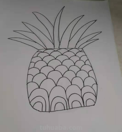 菠萝可以变成什么画