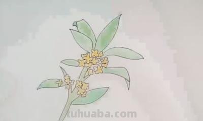 素描彩铅桂花怎么画 怎样画桂花？