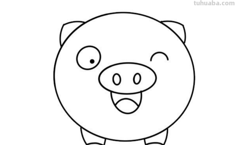 小猪怎么画简笔画