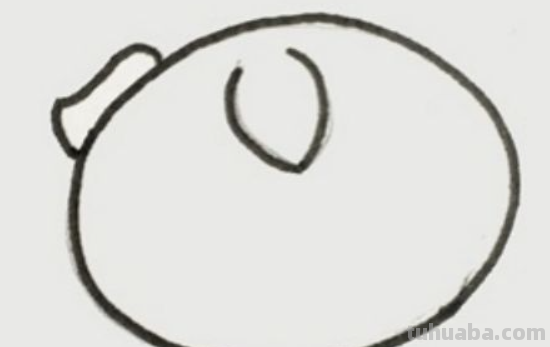 小猪怎么画简笔画