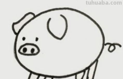 小猪怎么画简笔画