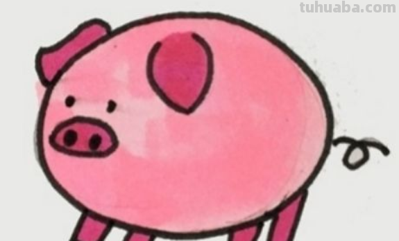 小猪怎么画简笔画