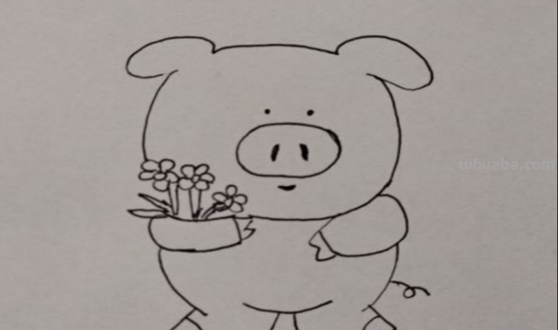 小猪的简单画法