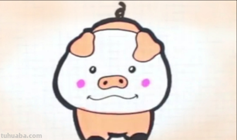 小猪的简单画法
