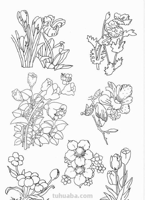近百种花儿的简笔画~