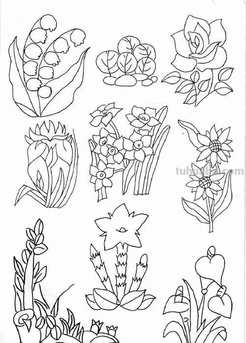近百种花儿的简笔画~