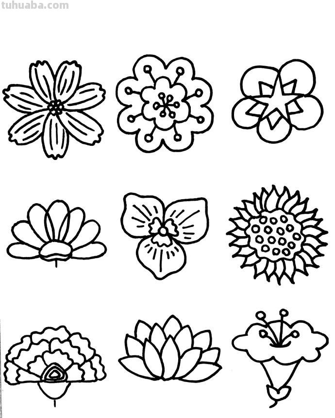 近百种花儿的简笔画~